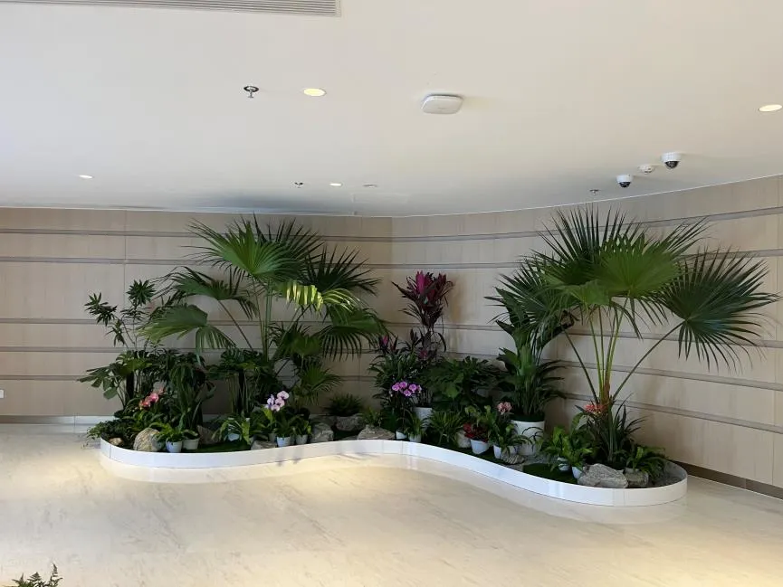 宁波慈溪植物租摆设计
